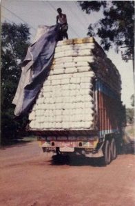 Trucks loaded with Sal leaf plates , Odisha, 2002 